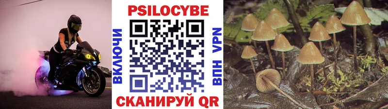 Галлюциногенные грибы прущие грибы Киренск